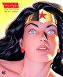 Wonder Woman: Spirit Of Truth Online Hot Sale