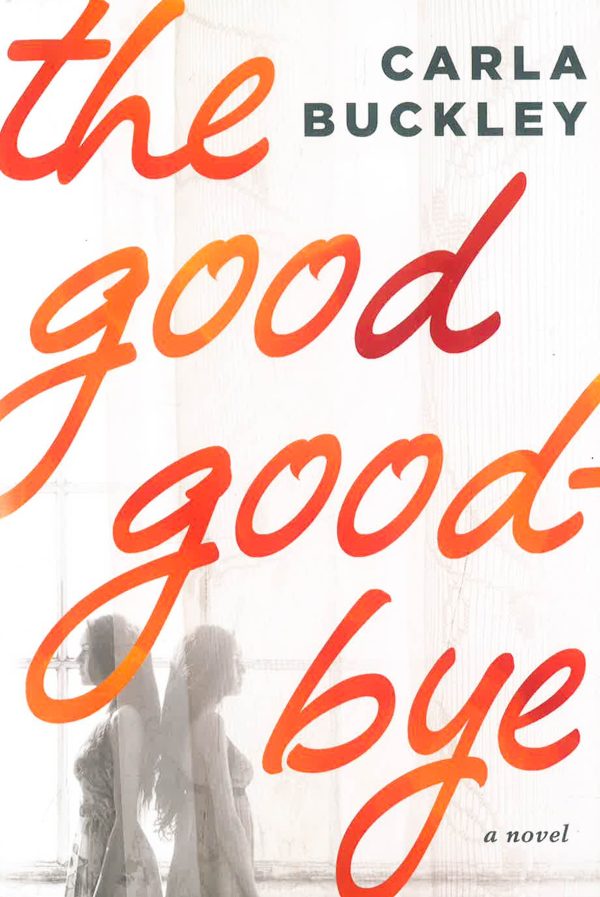 The Good Goodbye: A Novel Discount