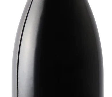 Domaine Julien Cecillon IGP Syrah  Les Graviers  2021 (Case only) Online Hot Sale