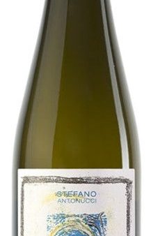 Santa Barbara Verdicchio dei Castelli di Jesi Pignocco 2020 (Case only) Online Hot Sale