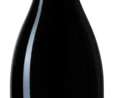 JB JESSIAUME BOURGOGNE PINOT NOIR 2021 (Case only) For Sale